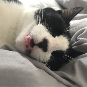 Meet your Posher, Glenny